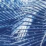 Detail_01