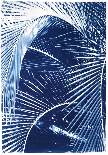 Tropical Palm Branches - Limited Edition of 100 thumb