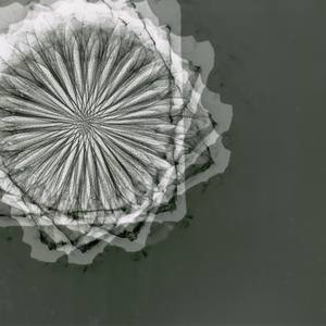 Collection Artists of the Week 5-13-2019