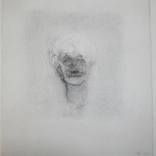 Head IV by The Whitley Art Gallery