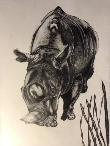 Original Animal Drawing by robert hilger