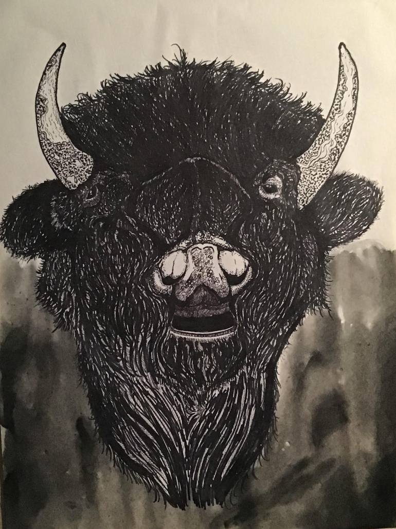 american bison head drawing