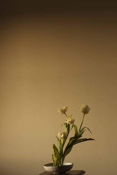 Original Floral Photography by Neus Pastor