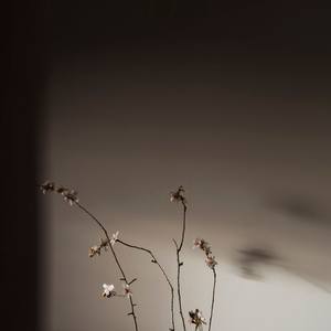 Almond