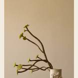 Collection Minimalist Works