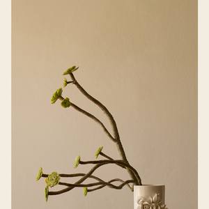 Collection Minimalist Works