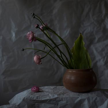 Original Fine Art Still Life Photography by Neus Pastor