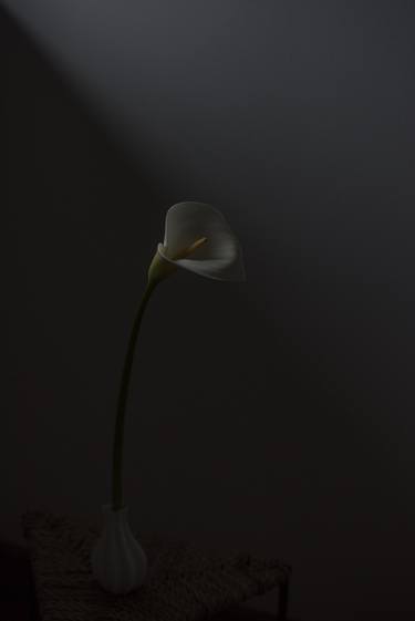 Print of Fine Art Floral Photography by Neus Pastor