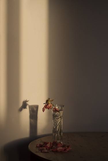 ephemeral Ikebana - Limited Edition of 10 thumb