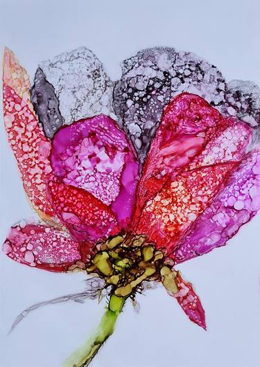 Print of Floral Paintings by Daniela Fedele