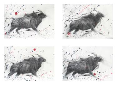 Print of Fine Art Animal Drawings by Prabal Mallick