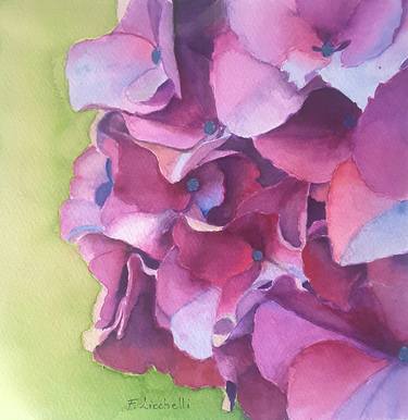 Original Floral Paintings by Francesca Licchelli