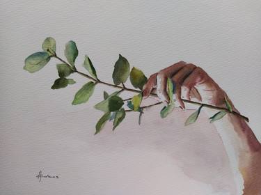 Eucalyptus at Hand thumb