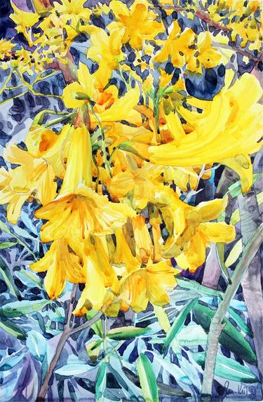 Original Floral Paintings by Panu Krit