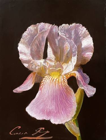 Original Floral Paintings by David Sleta