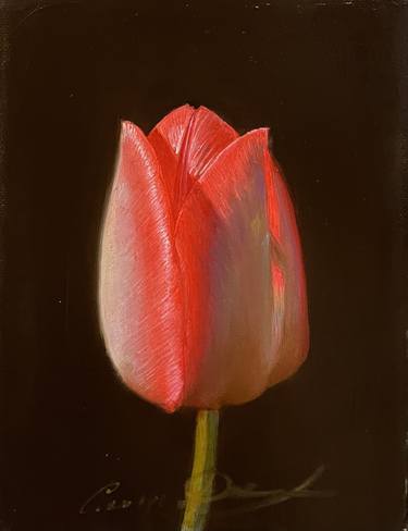 Original Realism Floral Paintings by David Sleta