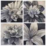 Botanic Sketchbook P. 1-4 by Stacy D'Aguiar