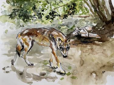 Original Animal Paintings by claudia barbu