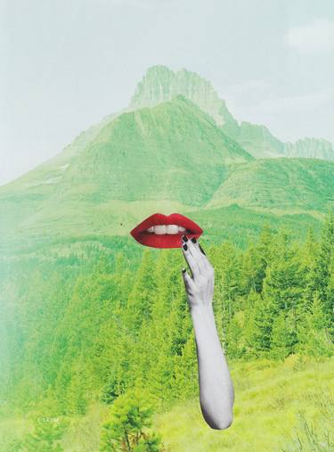 Print of Dada Nature Collage by Luca Mainini
