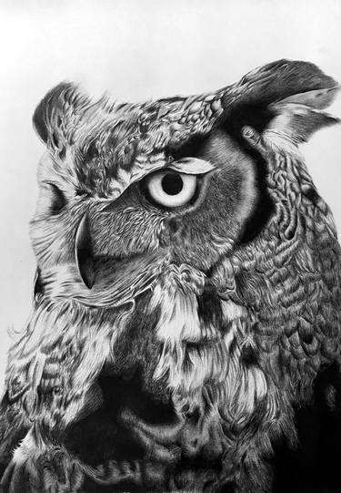 Original Photorealism Animal Printmaking by Habib Hajallie