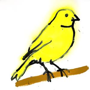 Canary 1
