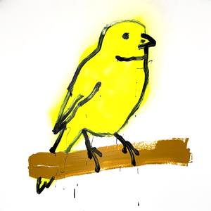 Canary 2