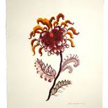 Collection The Other Art Fair March 2025: From London with Love