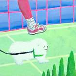 Conversation by Min Ah Hong