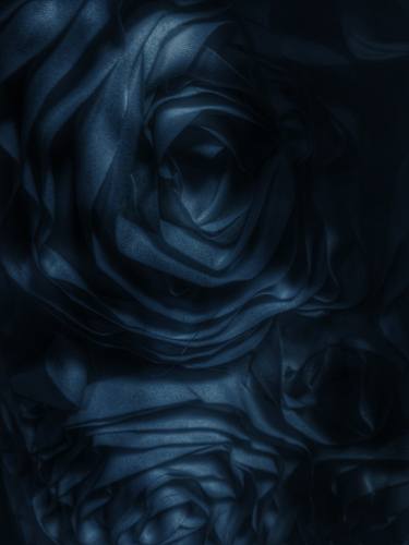 Blue Rose - Limited Edition of 3 thumb