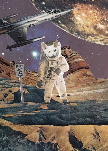 Space Kitty Expedition thumb