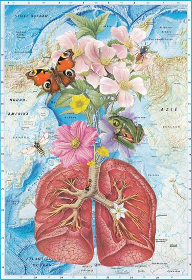 Original Fine Art Botanic Collage by Martine Mooijenkind