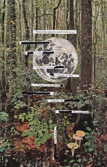 Original Dada Nature Collage by Martine Mooijenkind