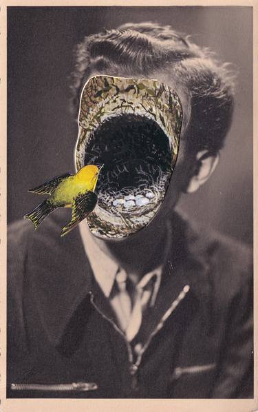 Original Surrealism Nature Collage by Martine Mooijenkind