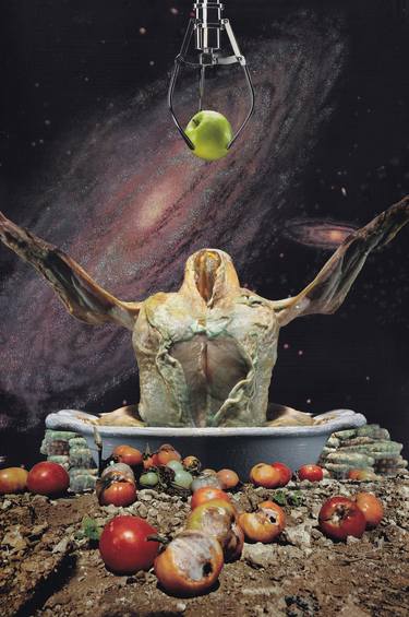 Original Surrealism Food Collage by Martine Mooijenkind