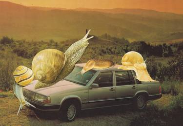 Original Surrealism Animal Collage by Martine Mooijenkind