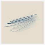 Collection Featured Photography