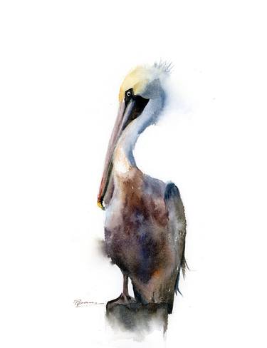 Brown Pelican - Original Watercolor Painting thumb