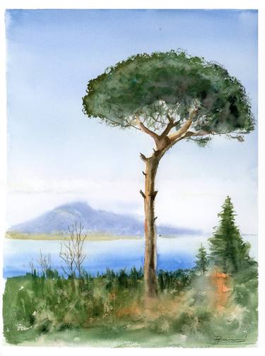 Pine Tree with Mount Vesuvius Backdrop thumb