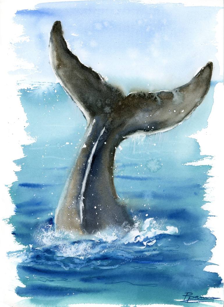 whale tail drawing & design