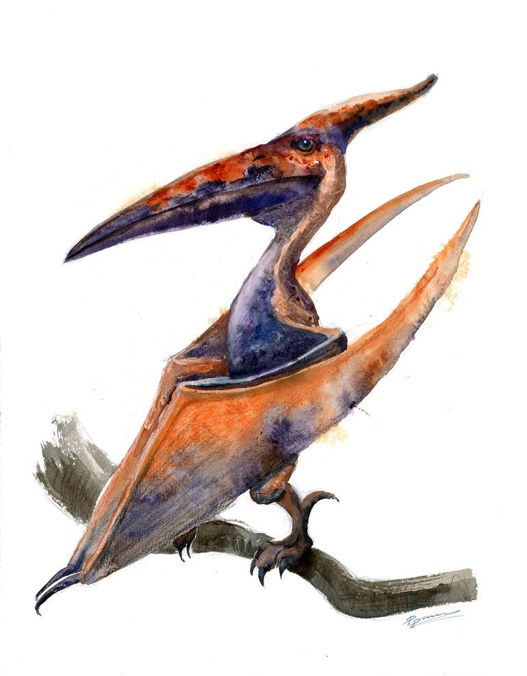 Pterodactyl - Original Watercolor Painti, Painting by