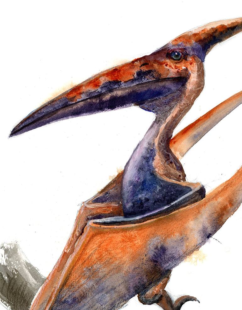 Pteranodon - Signed Fine Art Print