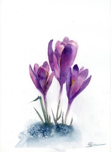 Print of Fine Art Botanic Paintings by Olga Tchefranov