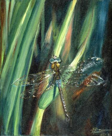 Dragonfly on Green Grass thumb