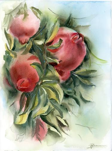 Original Fine Art Botanic Paintings by Olga Tchefranov