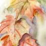 closeup