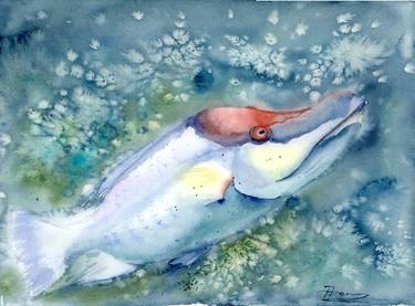 Original Impressionism Fish Paintings by Olga Tchefranov