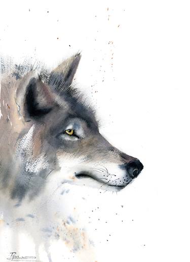 Gray Wolf portrait thumb