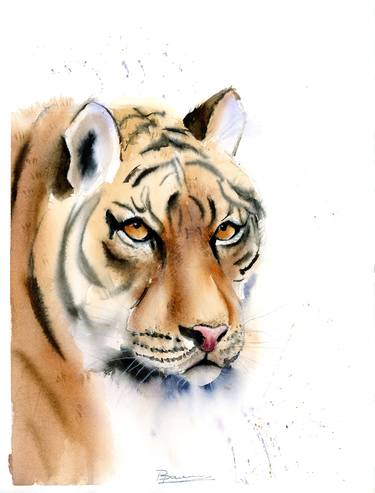 Tiger portrait thumb