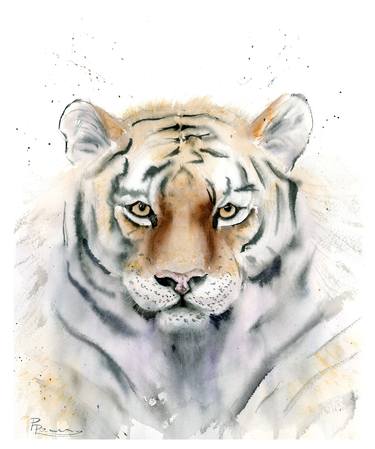 Tiger portrait. thumb