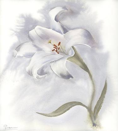 Original Floral Paintings by Olga Tchefranov